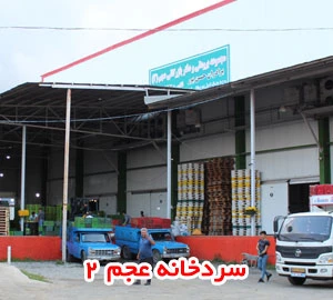 سردخانه و بازرگانی برادران حسن پور - عجم2