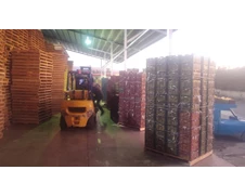 سردخانه آران آراز خیاو