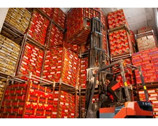 شرکت سردخانه کوثر