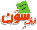 عرضه محصولات »ترشي سون« متناسب با سليقه مشتري در بازار داخلي و صادراتي