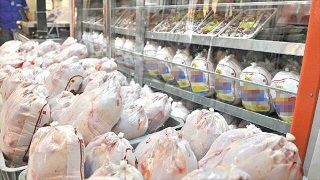 علت گراني مرغ قوانين دستوري مسئولان است
