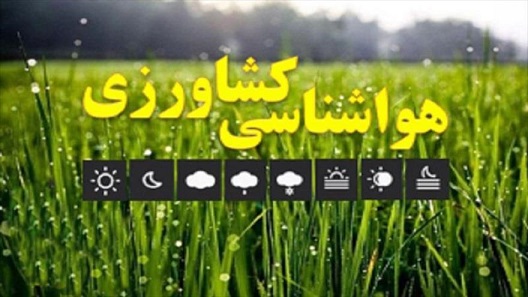 كشاورزان استان هاي شمالي از كشت دوم برنج اجتناب كنند